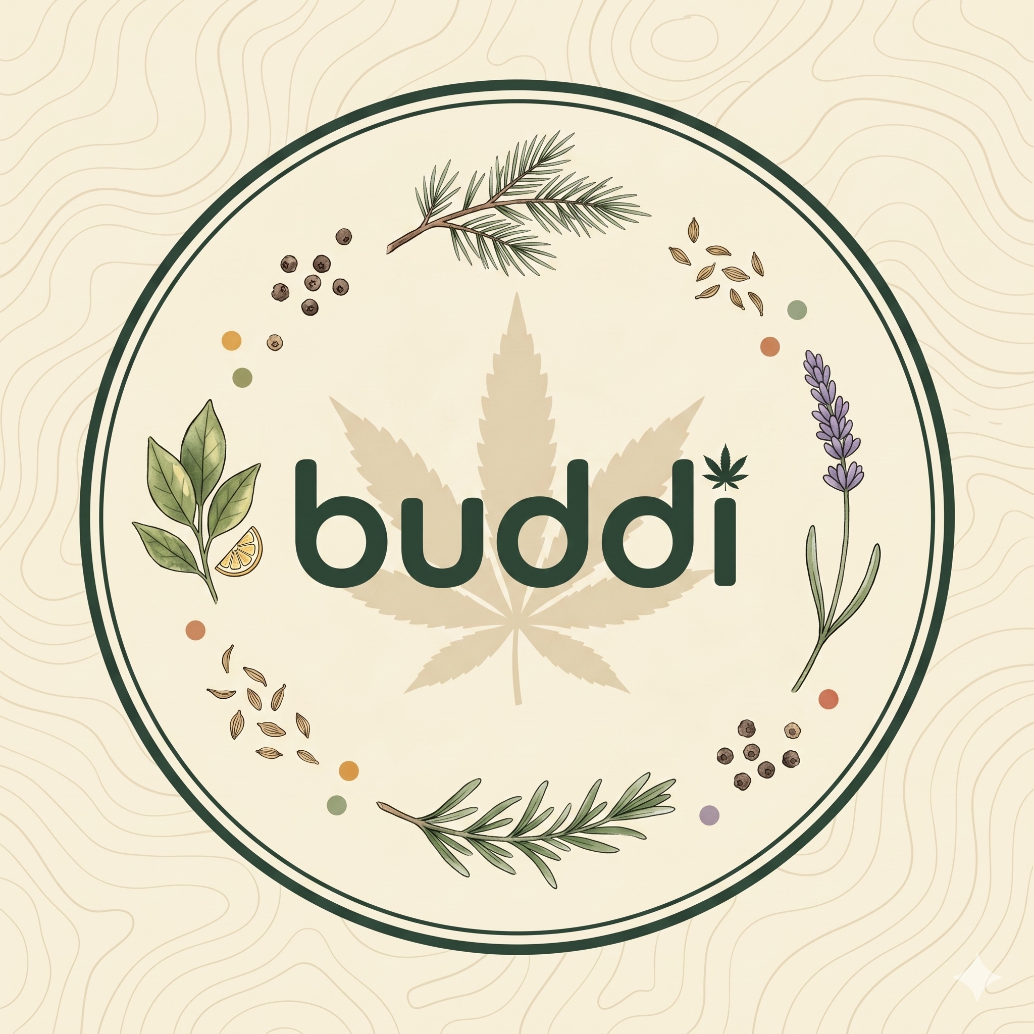 buddi logo